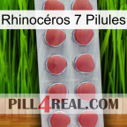 Rhinocéros 7 Pilules 18